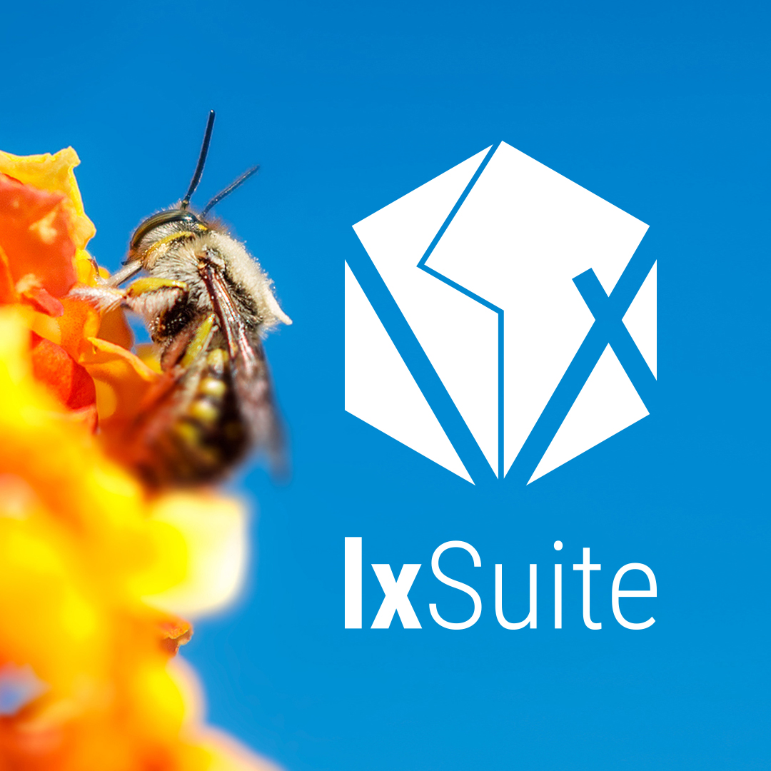 Read more about the article lxsuite